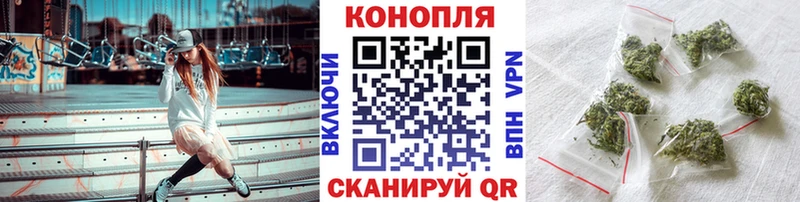Псилоцибиновые грибы Алейск