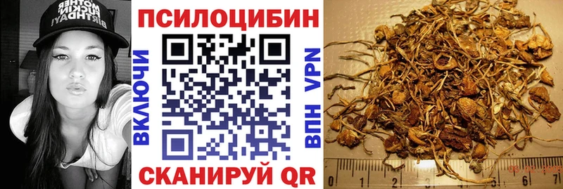 Псилоцибиновые грибы GOLDEN TEACHER  Алейск 